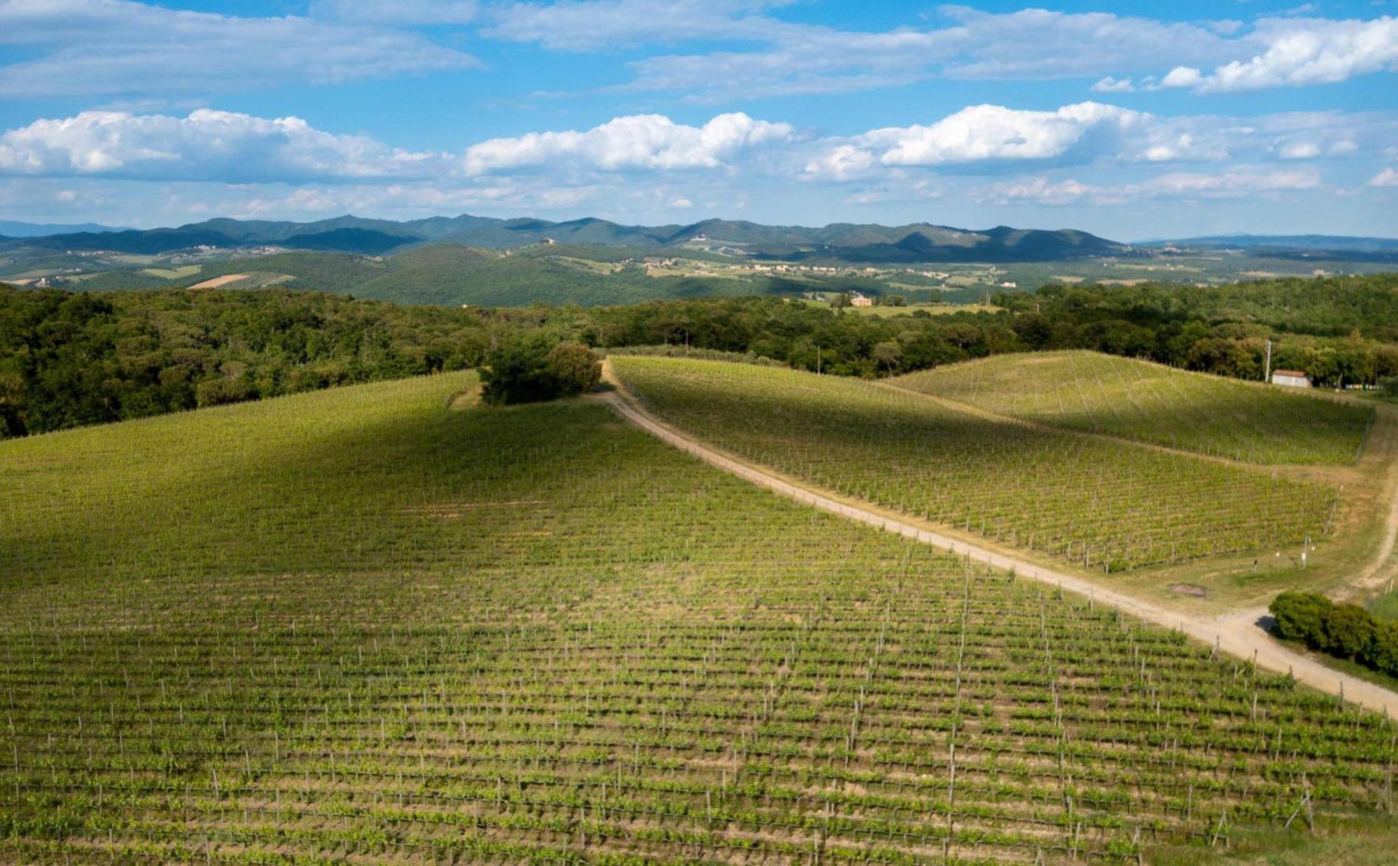 מלון Vagliagli Borgo Scopeto Wine & Country Relais מראה חיצוני תמונה
